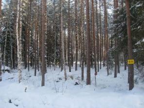 Продается участок во Всеволожском районе