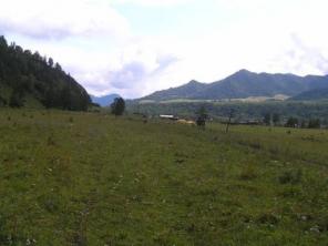 Горный Алтай. Земельный участок 1 Га. Цена 1 млн. руб.