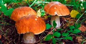 Три земельных участка в с. Отскочное Задонского района Липецкой области