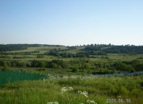 25 сот. по Ярославке в дер. Тургенево