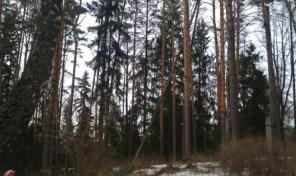 Новорижское ш. 45 км, д. Луцино, участок 1 Га