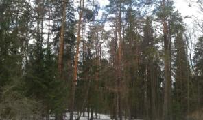 Новорижское ш. 45 км, д. Луцино, участок 1 Га