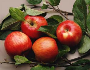 Продукты питания, фрукты, овощи