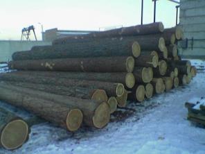 Продам оцилиндрованное бревно, кругляк лиственницы со склада в Москве и на заказ