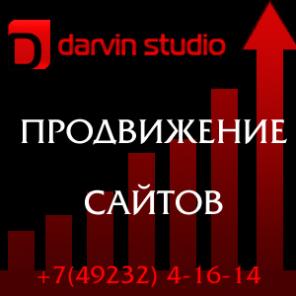 Создание и продвижение сайтов, размещение их в сети Интернет.