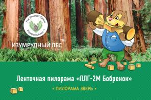 "Изумрудный лес" - Ленточные пилорамы для успешного бизнеса.