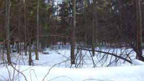 Участок без подряда 10 соток, Минское шоссе, 30 км от МКАД (2 600 000 руб.)