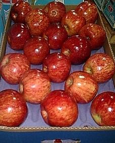 Предлагаем яблоки из Аргентины