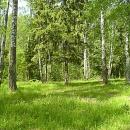 Продается великолепный земельный участок!!!
