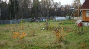 Продам дом и земельный участок