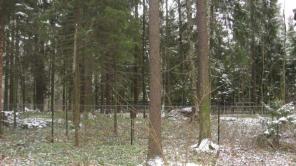 Продажа участка в лесу в стародачном поселке