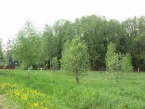 Участок 23 сот., Ленинградское ш., 38 км от МКАД, д.Хоругвино