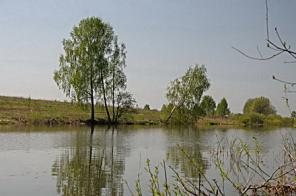 Продам землю 18,2 сот. Чеховский р-н