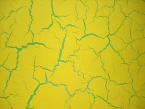 Нанесение и продажа декоративных покрытий и фресок.