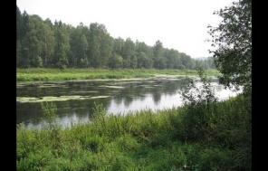 Участок по Минскому шоссе, 72 км от МКАД