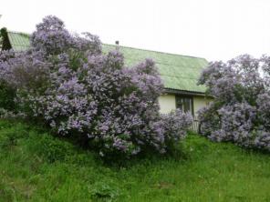 продажа дачи с участком 15 соток в Тульской обл.