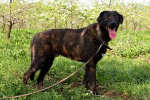 ����� ��������� - ����� � ���