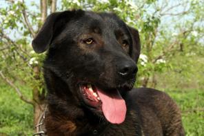 ����� ��������� - ����� � ���