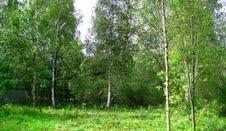 Участок 6 сот. 35 км Ярославского ш., 760000 руб.