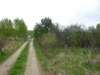 продаю участок у леса