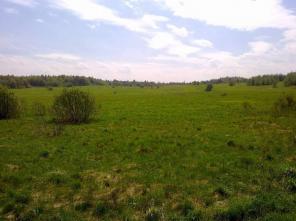 Продам землю в с. Романово 39 сот Ярославской обл.