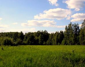 Продам участок по Симферопольскому шоссе 75 км от МКАД не дорого