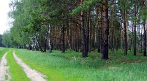 Участки под загородный дом, 15 км от МКАД, все коммуникации