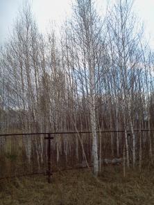 Участки в Д.Н.Т."Зелёная поляна" (р.п.Коченево) под коттеджи
