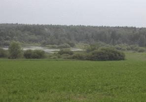 Участок по Фряновскому шоссе, 55 км от МКАД