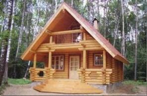 Срубы, деревянные дома, бани, беседки и тд.