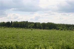 Участок 43 км по Ярославскому ш., Пушкинский р-н МО