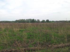 Продаю участки в 68 км от МКАД по Симферопольскому шоссе. Серпуховской район.