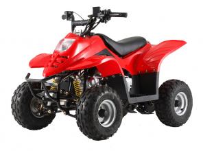 Детский квадроцикл ATV FA-A70 Цена 40000 руб.