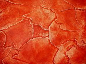 ������. ������� "��� ����"