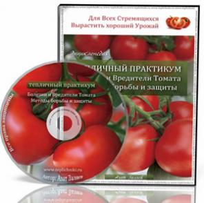 Откройте для себя выращивание здоровых, сочных томатов