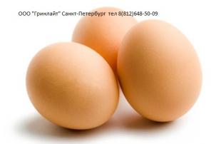 Куриное яйцо,опт