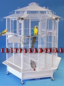 Эксклюзивные клетки для попугаев из Италии,ФРГ, Чехии