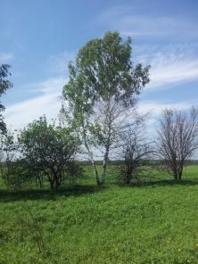 Земельный участок в Подмосковье от 8 соток со строительством коттеджа под ключ