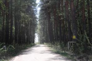 Участок 9,5 соток, 50 км Новорязанское шоссе