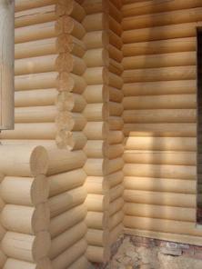 ������������ ������������ ������ �� ���������������� ������!