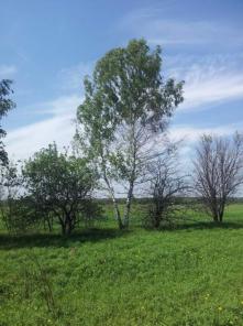 Участок по Симферопольскому шоссе