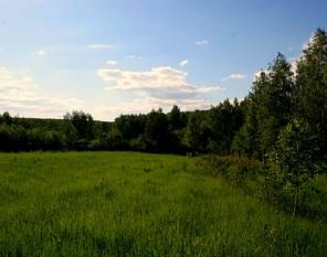 Продам участок 8 сот. по Симферопольскому шоссе 75 км от МКАД не дорого