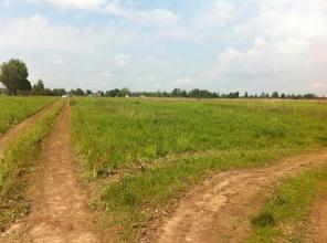 Продам участок 10 сот. в деревне Верхнее Велими 68 км от МКАД