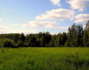 Продам земельный участок 11 соток, Минское шоссе, 72 км от МКАД (Мос. обл., г.Можайск, п.Макеиха)