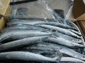 Продажа рыбы и морепродуктов опт и розница