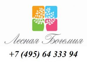 Участки с коммуникациями в поселке Лесная Богемия