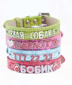 Ошейники с именем для собак и кошек