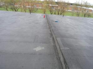 ������ ������(������������) ������.