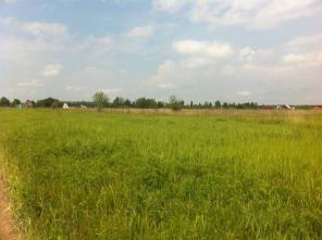 Продам участок 10 сот. в деревне Верхнее Велими 68 км от МКАД