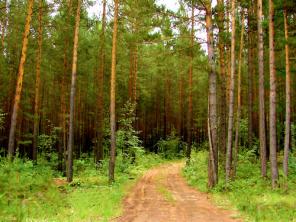 Участок 6 сот. , г.Домодедово 19 км от Мкад